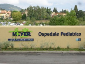 Ospedale Pediatrico Meyer, Firenze - Ingresso
