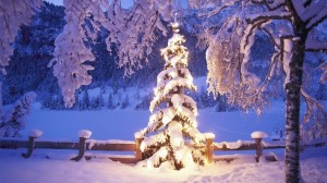 albero_natale_con_neve