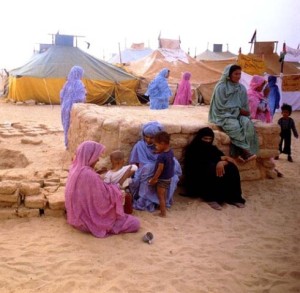 Un campo Saharawi in Africa