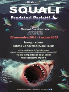 "Squali. Predatori Perfetti", nuova esposizione al Museo di Storia Naturale dell'Università di Pisa