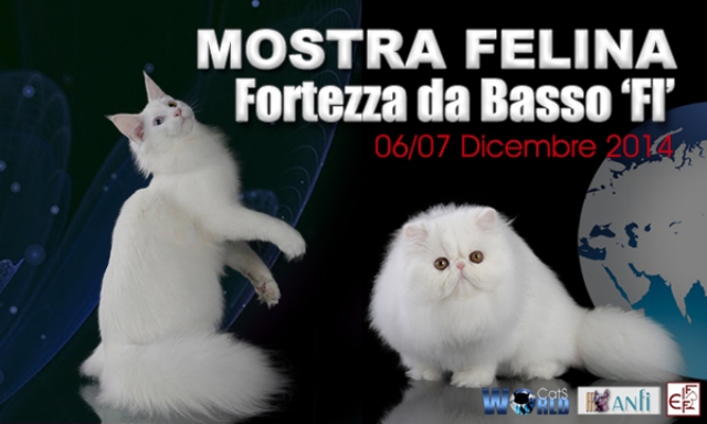 mostra_felina_fortezza_da_basso_14