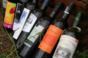 CentoCene con Slow Wine: cinque appuntamenti a Lucca (foto: A. Giusti)
