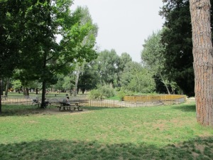 Parco_dell'anconella,_02