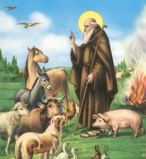 La festa di Sant’Antonio Abate dedicata alla benedizione degli animali
