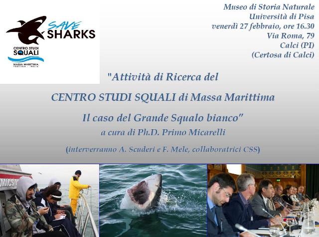 “Attività di ricerca del Centro Studi Squali di Massa Marittima: il caso del grande squalo bianco”, conferenza al Museo di Storia Naturale
