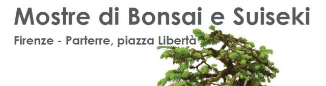 mostra_bonsai_e_suiseki